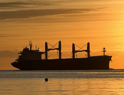 Sea blockade partially ended: freighter Razoni leaves the port of Odessa for Lebanon