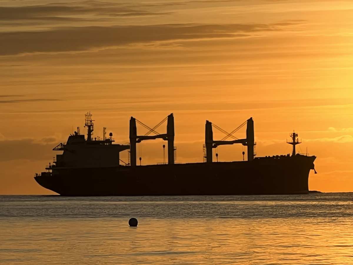 Cargo ship bulk carrier / bulker in the sea