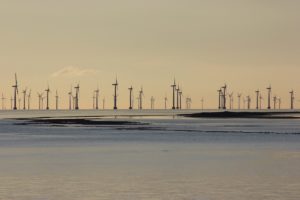 Windräder in der Ostsee bei Gedser in Dänemark