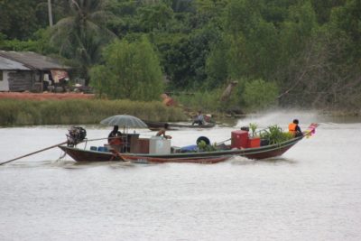 Motorboat on the Ta Pi River in Surat Thani